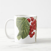 Roter Johannisbeere (Ribes rubrum) von Redouté Kaffeetasse (Links)