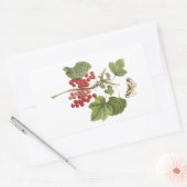 Roter Johannisbeere (Ribes rubrum) von Redouté Rechteckiger Aufkleber (Umschlag)
