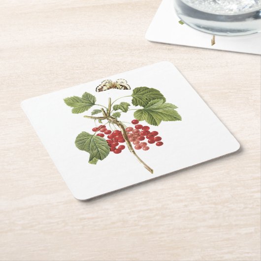 Roter Johannisbeere (Ribes rubrum) von Redouté Rechteckiger Pappuntersetzer (angewinkelt)