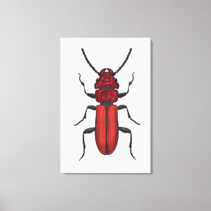 Roter Käfer Leinwanddruck