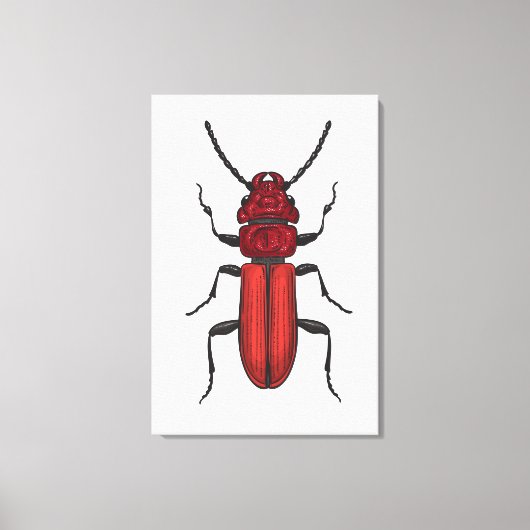 Roter Käfer Leinwanddruck (Vorderseite)