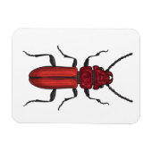 Roter Käfer Magnet (Horizontal)