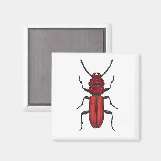 Roter Käfer Magnet (Vorderseite/Rückseite)