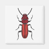 Roter Käfer Magnet (Vorne)