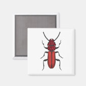 Roter Käfer Magnet (Vorderseite/Rückseite)