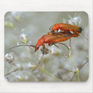 Roter Käfer Mousepad