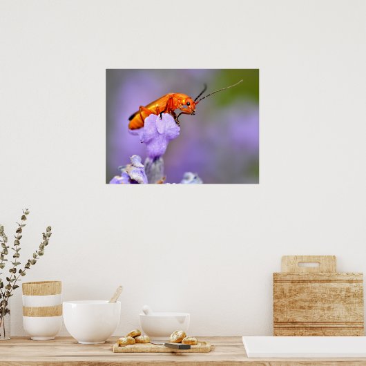 Roter Käfer Poster (Küche)