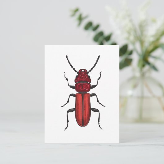 Roter Käfer Postkarte (Stehend Vorderseite)