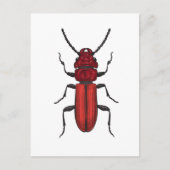 Roter Käfer Postkarte (Vorderseite)