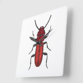 Roter Käfer Quadratische Wanduhr (Winkel)