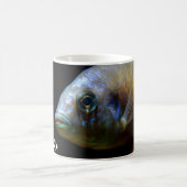Roter Kaiserin Haplochromis Cichlid Kaffeetasse (Mittel)