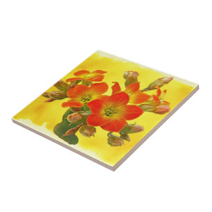 Roter Kalanchoe - Sukkulenter Sonnenschein Fliese