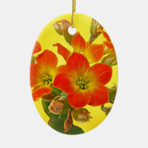 Roter Kalanchoe - Sukkulenter Sonnenschein Keramikornament