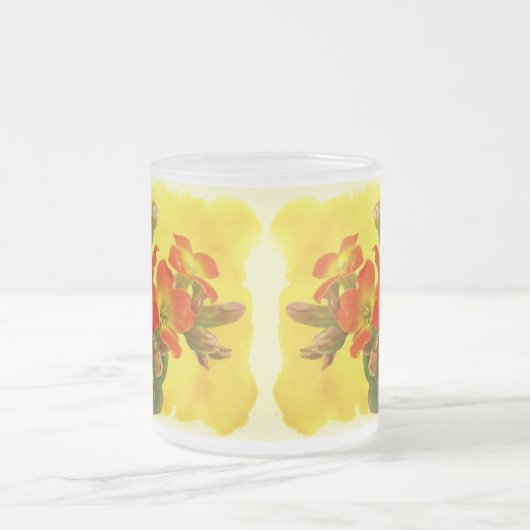 Roter Kalanchoe - Sukkulenter Sonnenschein Mattglastasse (Mittel)