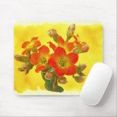 Roter Kalanchoe - Sukkulenter Sonnenschein Mousepad (Mit Mouse)
