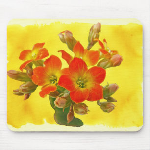 Roter Kalanchoe - Sukkulenter Sonnenschein Mousepad