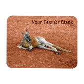 Roter Kangaroo Buck Magnet (Horizontal)