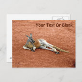 Roter Kangaroo Buck Postkarte (Vorne/Hinten)
