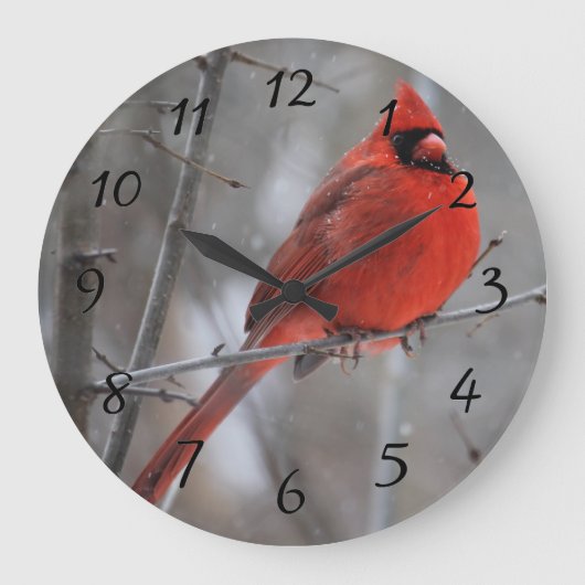 Roter Kardinal auf dem Zweig im Winterschnee Große Wanduhr (Vorderseite)