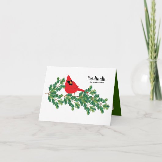 Roter Kardinal auf der Notecard für Kiefernzweige Dankeskarte (Vorderseite)