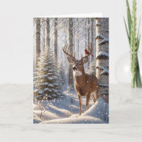 Roter Kardinal auf einem Hirschgefecht