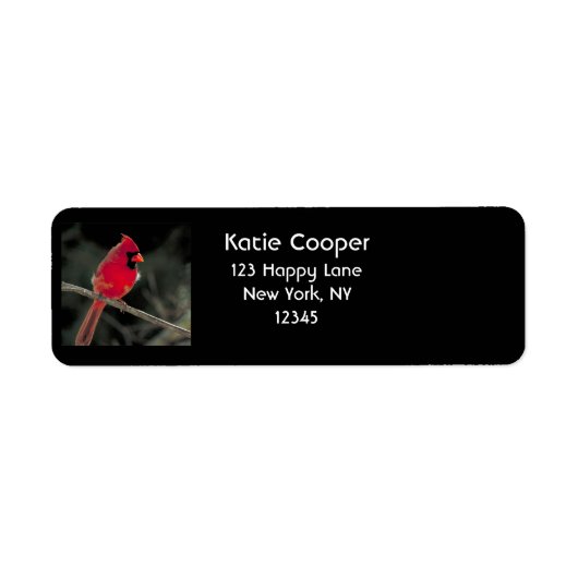 Roter Kardinal auf einer Baumzweigung (Vorne)