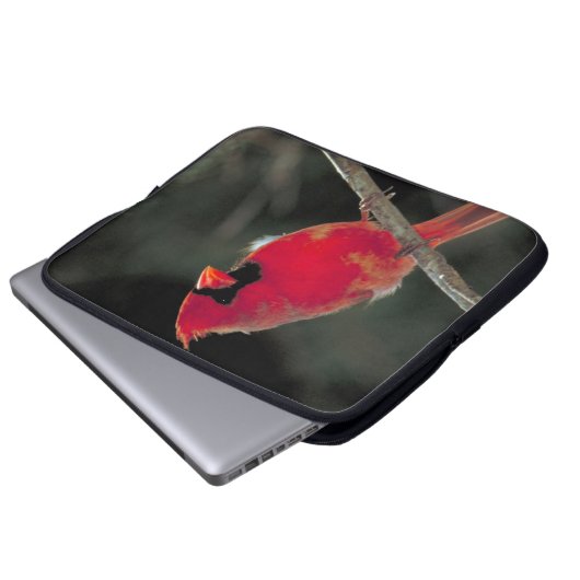 Roter Kardinal auf einer Baumzweigung Laptopschutzhülle (Vorne Knopf)