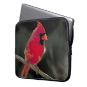 Roter Kardinal auf einer Baumzweigung Laptopschutzhülle (Vorderseite Links)