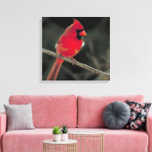 Roter Kardinal auf einer Baumzweigung Leinwanddruck (Insitu (Wohnzimmer))