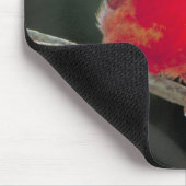 Roter Kardinal auf einer Baumzweigung Mousepad (Ecke)