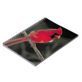 Roter Kardinal auf einer Baumzweigung Notizblock (Linke Seite)