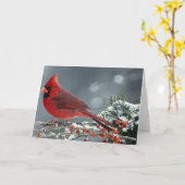 Roter Kardinal auf eisiger Niederlassung der Karte (Gelbe Blume)