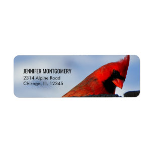 Roter Kardinal auf Holzstumpf
