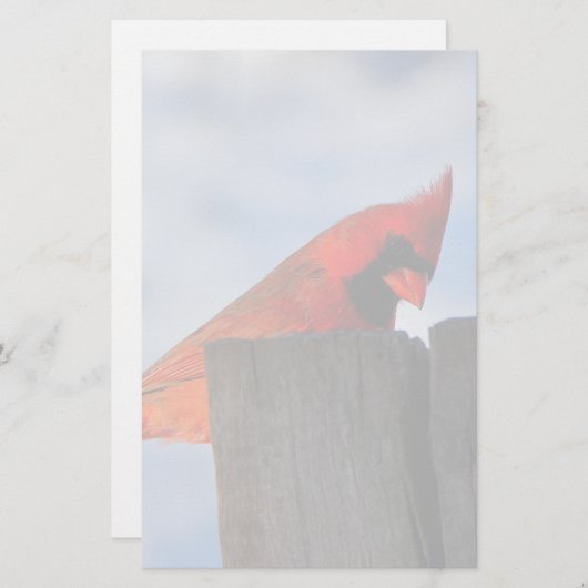Roter Kardinal auf Holzstumpf Briefpapier (Vorne/Hinten)