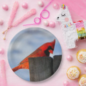 Roter Kardinal auf Holzstumpf Pappteller (Party)