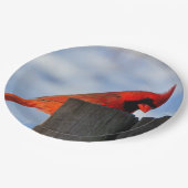 Roter Kardinal auf Holzstumpf Pappteller (Schrägansicht)