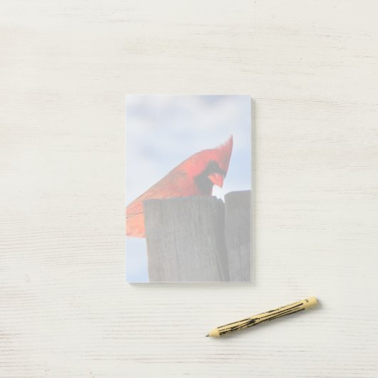 Roter Kardinal auf Holzstumpf Post-it Klebezettel (Auf Schreibtisch)