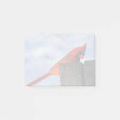 Roter Kardinal auf Holzstumpf Post-it Klebezettel (Vorderseite)
