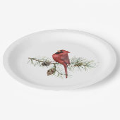 Roter Kardinal auf Kiefernzweig Pappteller (Schrägansicht)