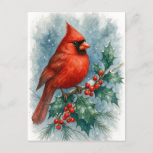 Roter Kardinal auf Winter-Stechpalmen-Weihnachtspo Feiertagspostkarte