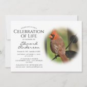 Roter Kardinal | Beerdigung | Feiern des Lebens Einladung (Vorderseite)