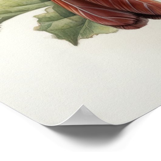 Roter Kardinal Bird Art Print Poster (Ecke)