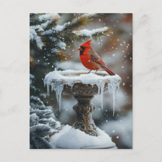 Roter Kardinal Bird auf einem gefrorenen Birdbad A Postkarte