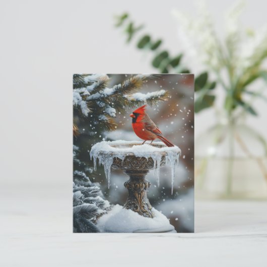 Roter Kardinal Bird auf einem gefrorenen Birdbad A Postkarte (Stehend Vorderseite)