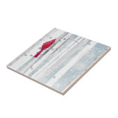 Roter Kardinal Bird in schönem, schneebedecktem Bi Fliese (Seite)