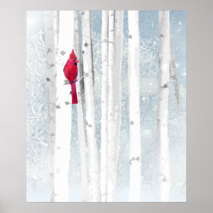 Roter Kardinal Bird in schönem, schneebedecktem Bi Poster