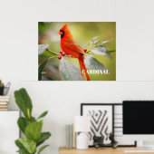 Roter Kardinal Bird in Tree Poster (Heimbüro)