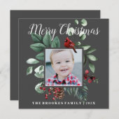 Roter Kardinal Blauer Weihnachts-Fotokarte (Vorne/Hinten)