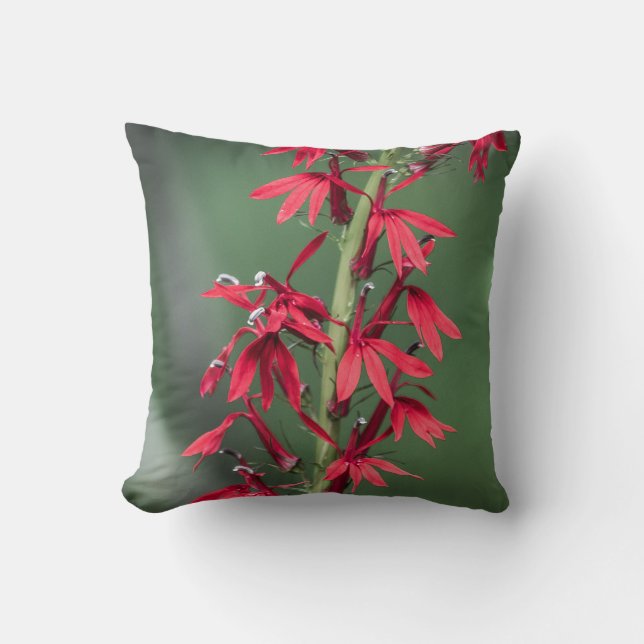 Roter Kardinal Blume Kissen (Vorderseite)