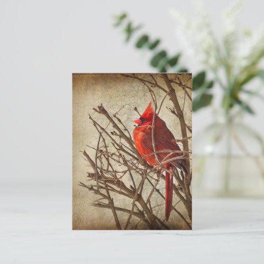 Roter Kardinal - Braune Textur Postkarte (Stehend Vorderseite)